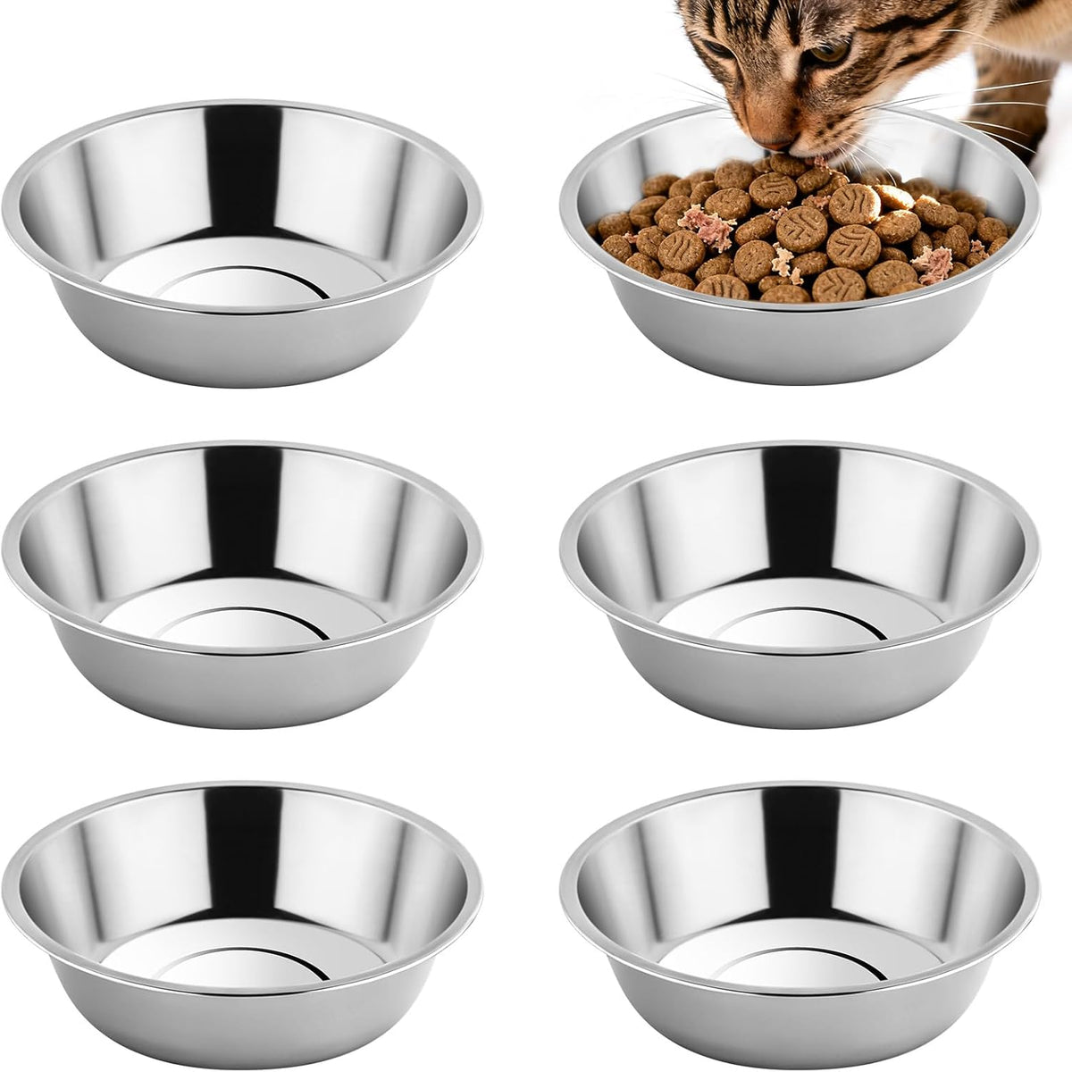 Tifanso 6PCS stainless steel cat bowls, 5.6" shallow wide whisker friendly metal kitten plates, indoor pet food tray, dishwasher safe