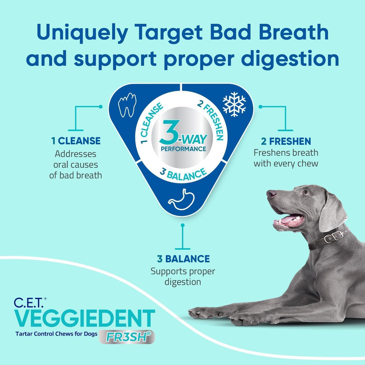 Virbac C.E.T. VEGGIEDENT FR3SH Tartar Control Chews for Medium Dogs, Beef, 1.6 Pounds
