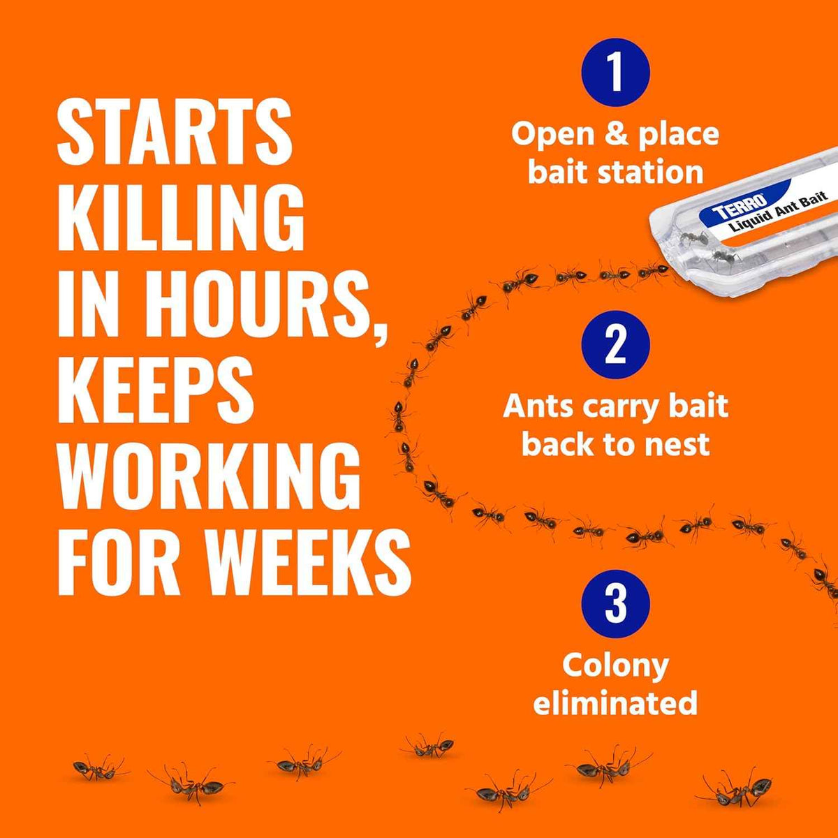 TERRO Ant Killer Bait Stations T300-3SR - Liquid Bait to Eliminate Ants - 18 Count Stations for Effective Indoor Ant Control