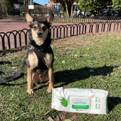 Best Pet Supplies Pet Wipes for Dogs - Dog Wipes Cleaning Deodorizing, for Coats, Ears, Paws - Hydrating, Aloe Vera